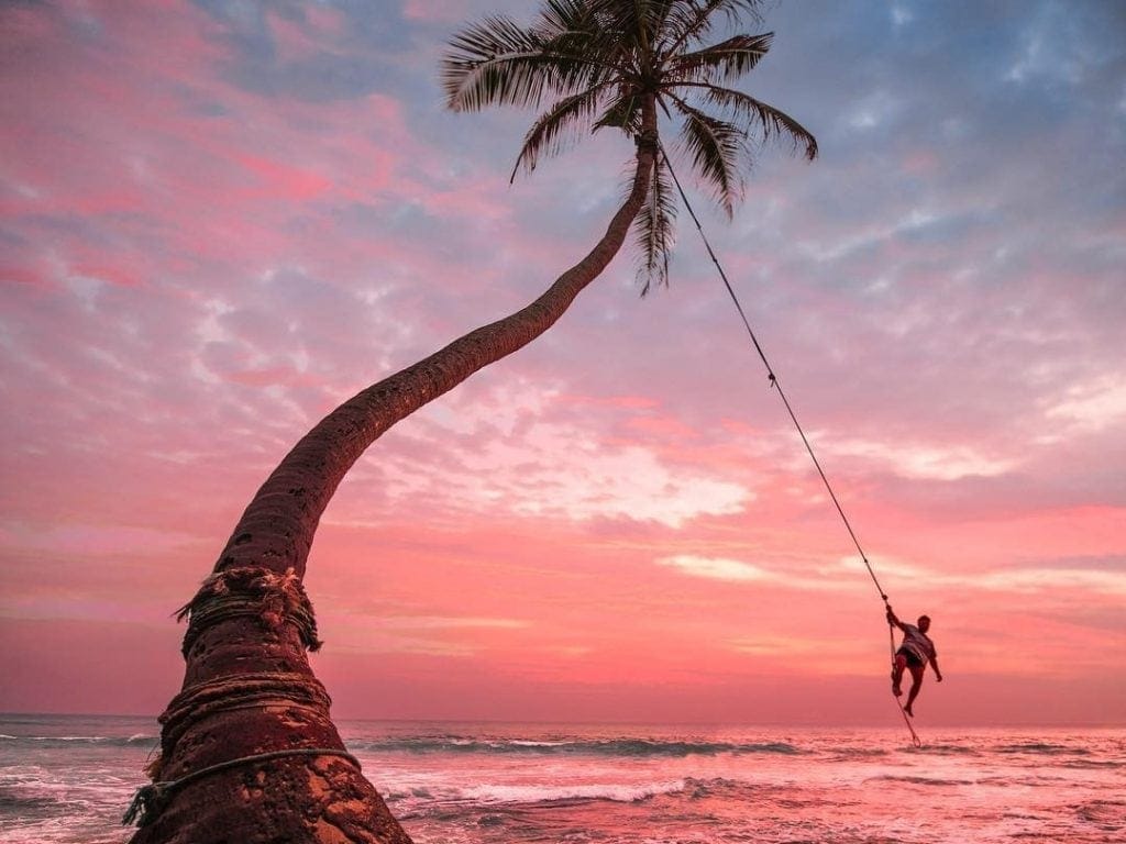 Person swinging on a palm tree swing at Dalawella Beach during a stunning sunset over the ocean.