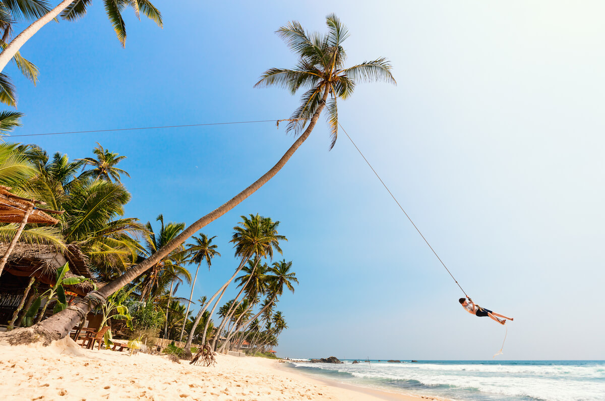 Person enjoying a palm tree swing on Dalawella Beach with a backdrop of clear blue skies and palm trees lining the shore.