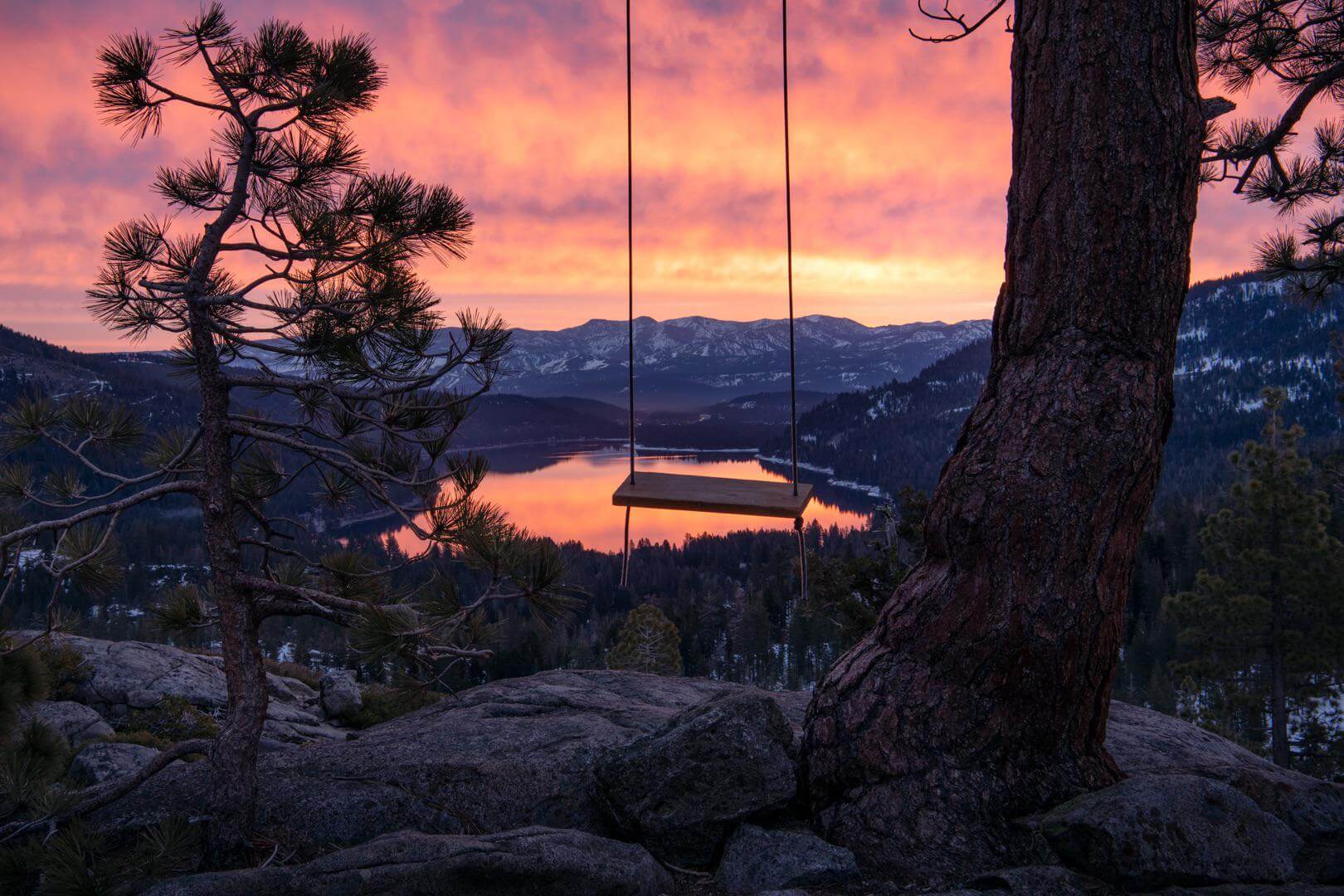 A wooden swing hangs from a pine tree, overlooking a serene lake and mountain landscape at sunset with a vibrant pink and orange sky.