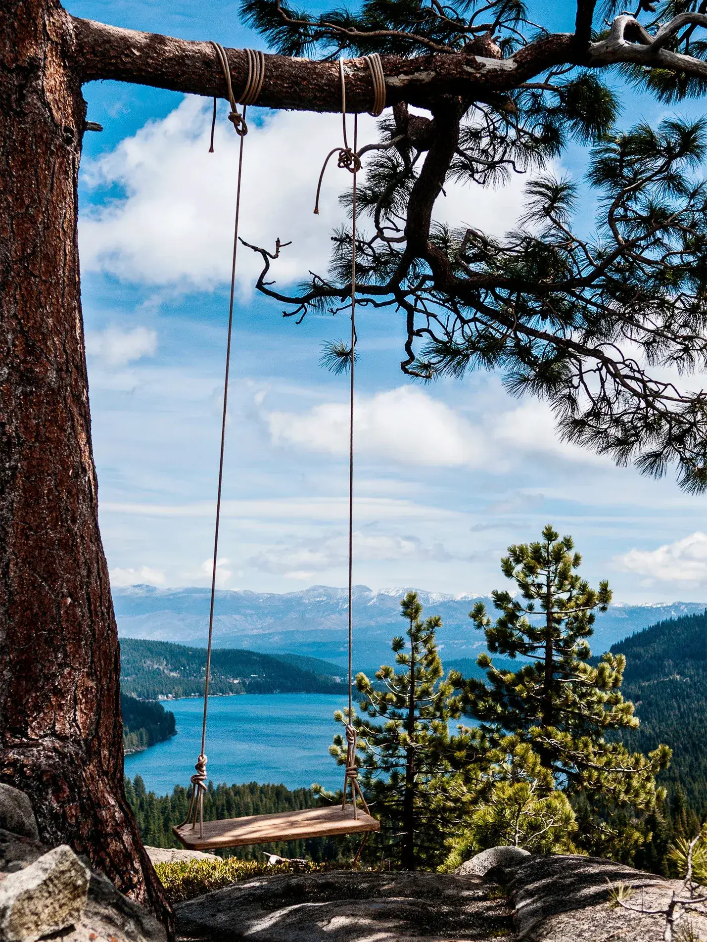 A rustic rope swing is suspended from a large pine branch, framing a breathtaking view of a blue lake nestled among forested mountains on a clear day.