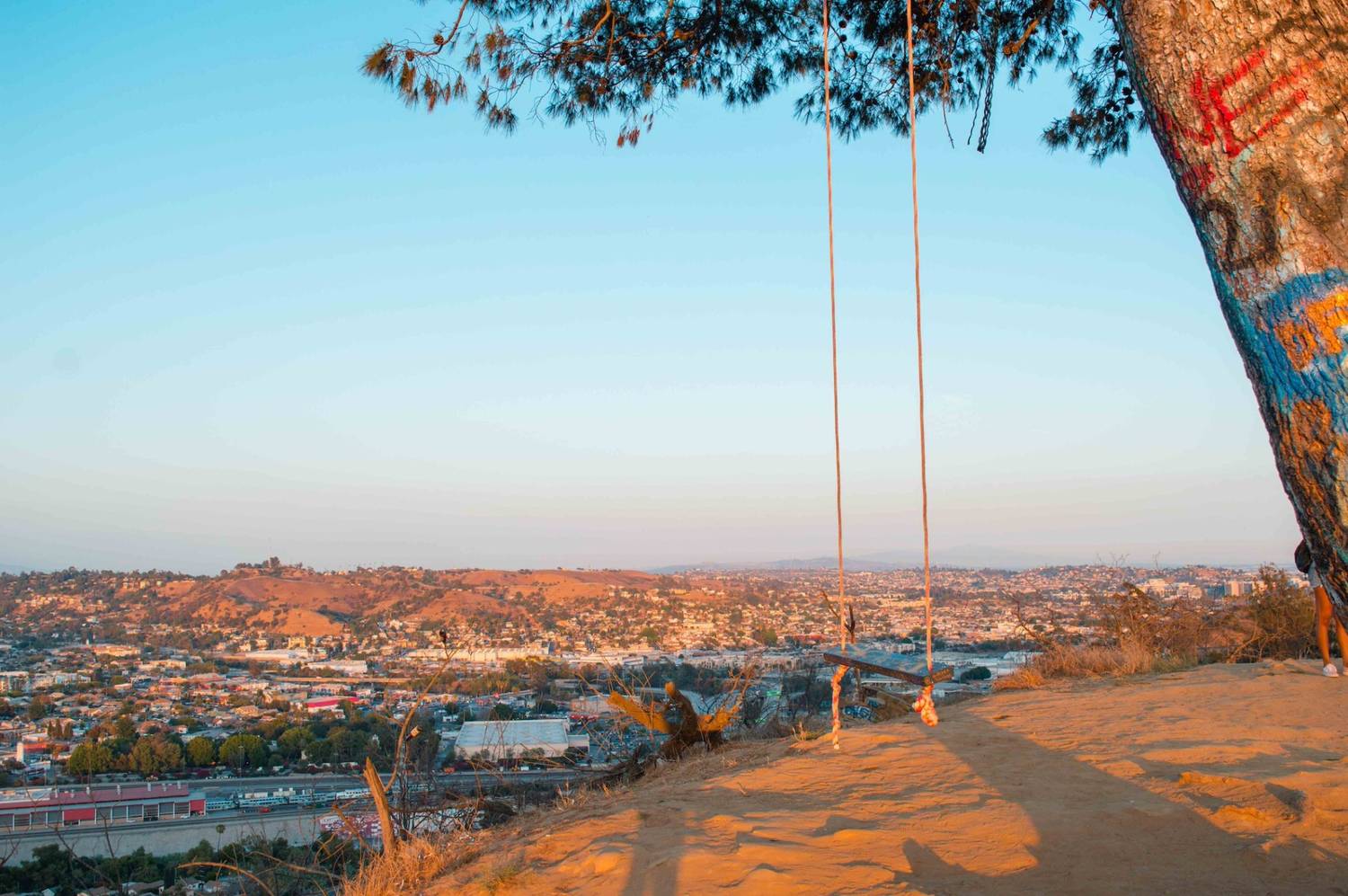 View of Elysian Park Swing from left side with the city view in background.