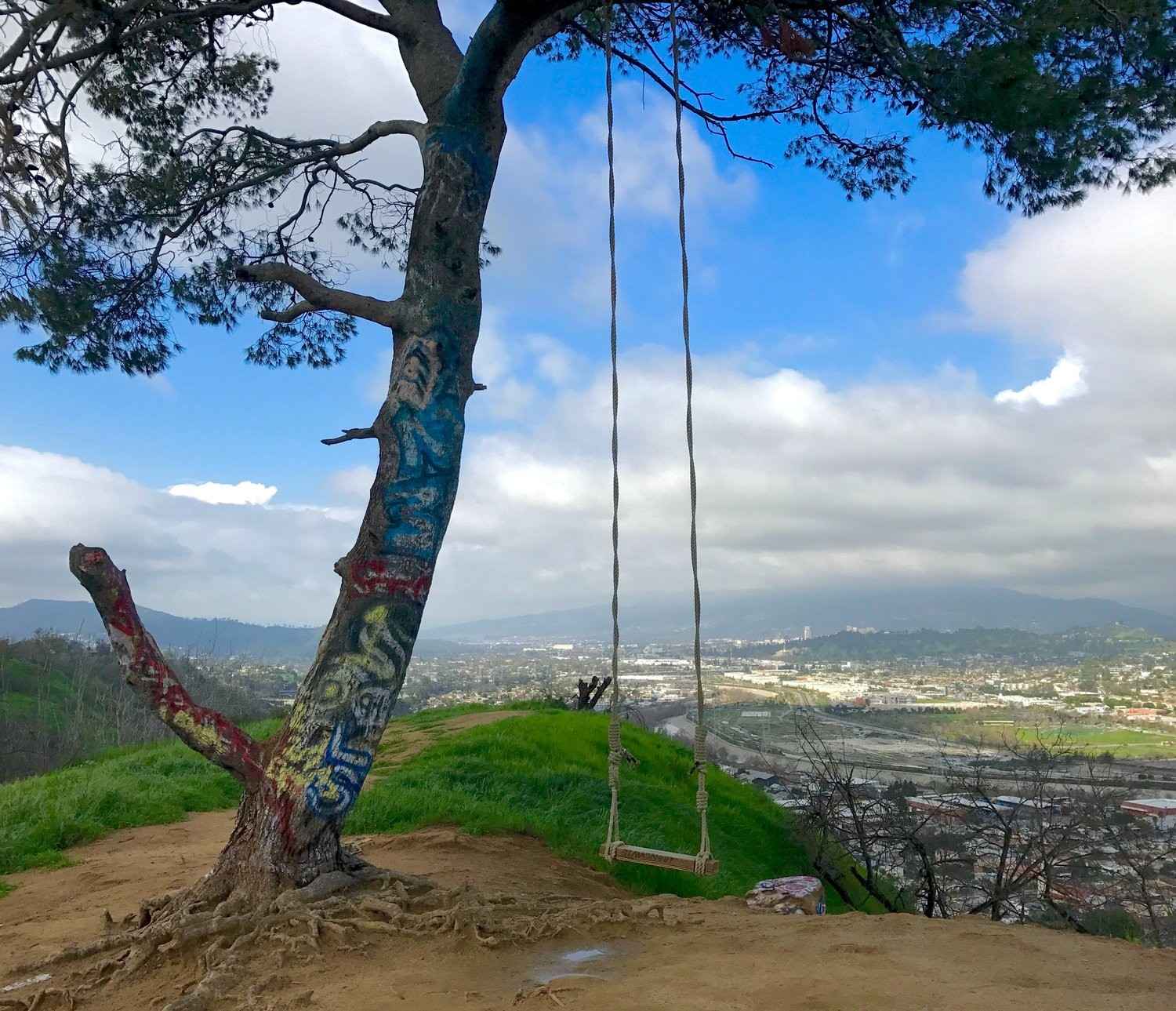 Elysian Park Swing attached to a graffiti-covered tree with a scenic city view.