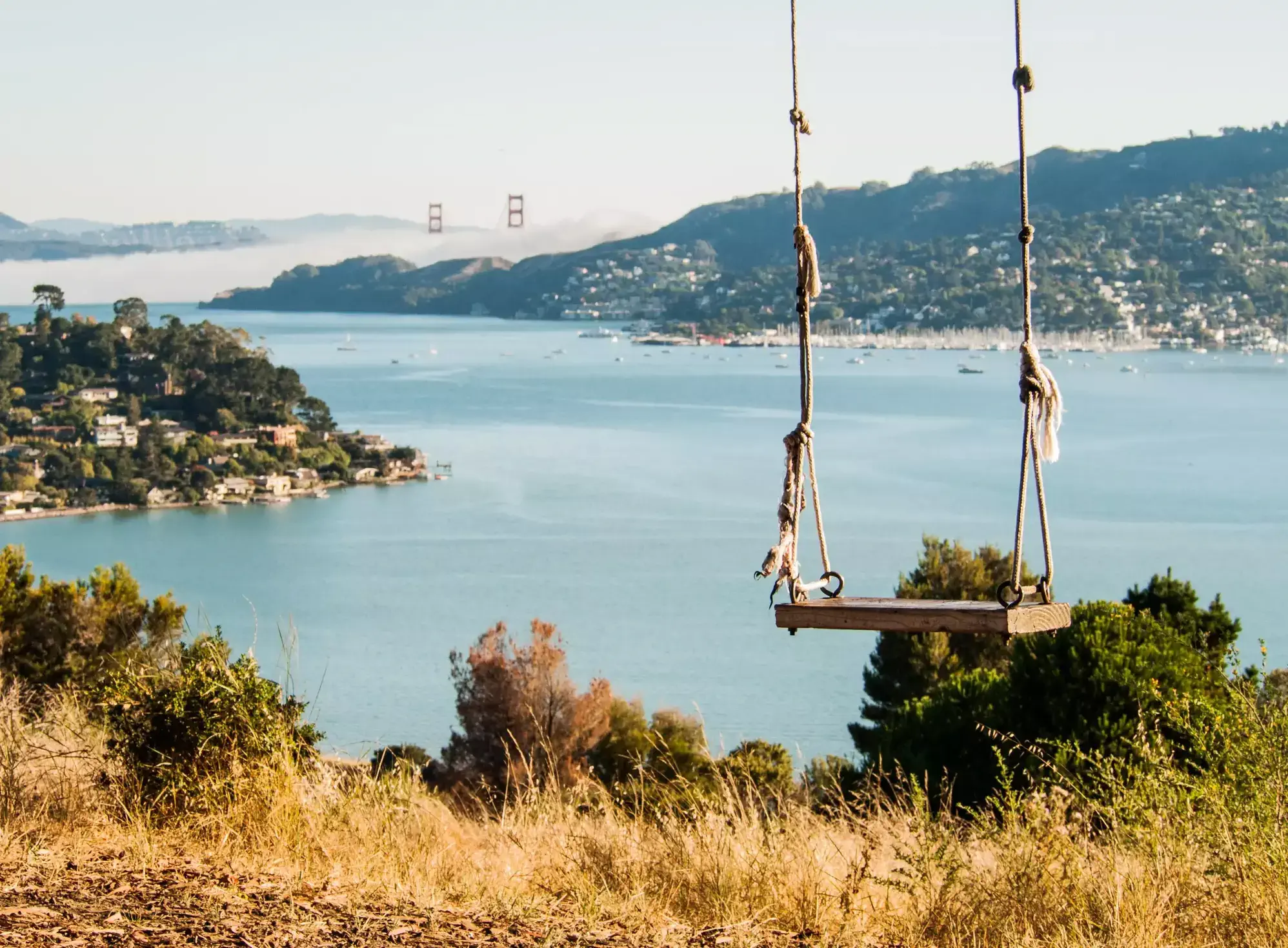 A wooden swing hangs from rope also called Hippie Tree Swing, overlooking a scenic bay with a city and bridge in the distance. The sky is clear and blue.