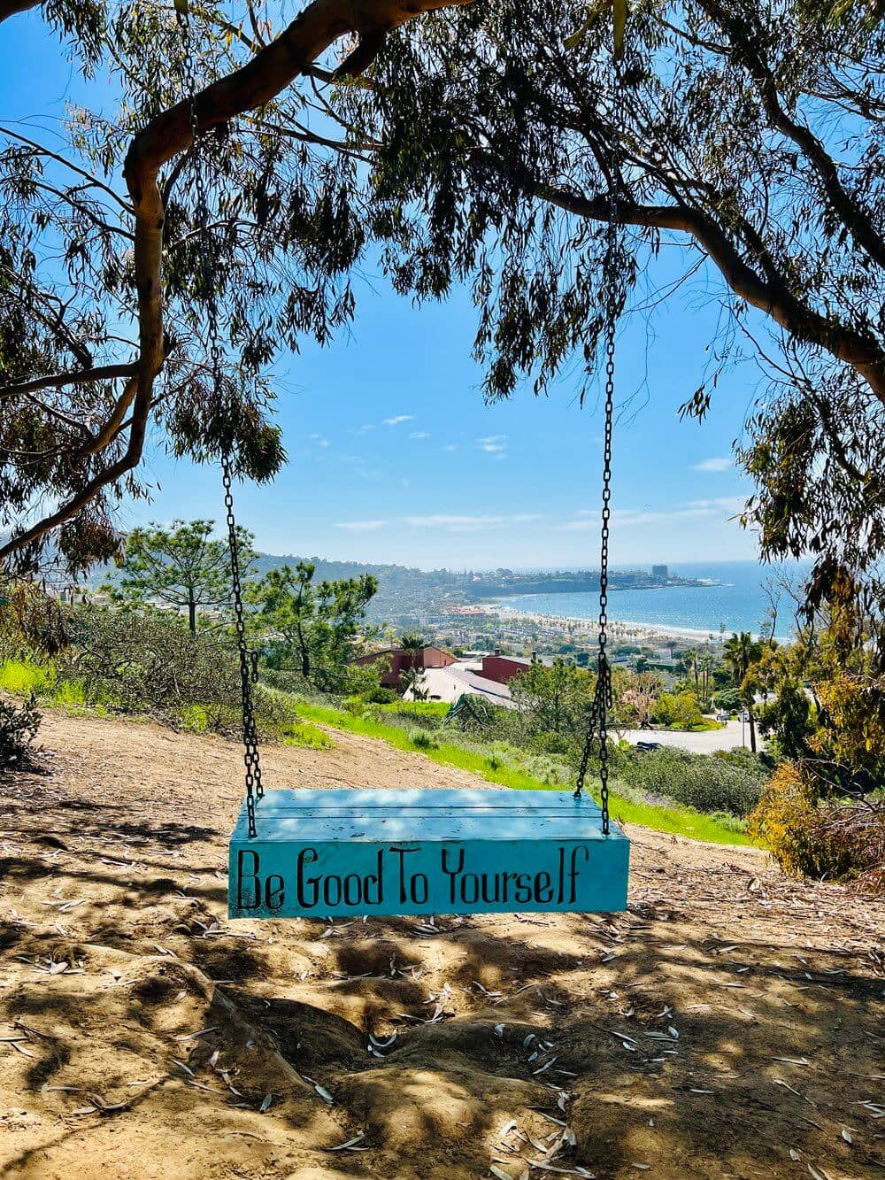 La Jolla Cove Swing hanging on a palm tree with an ocean view, a calm blue sky above, and a distant coastline in the background.