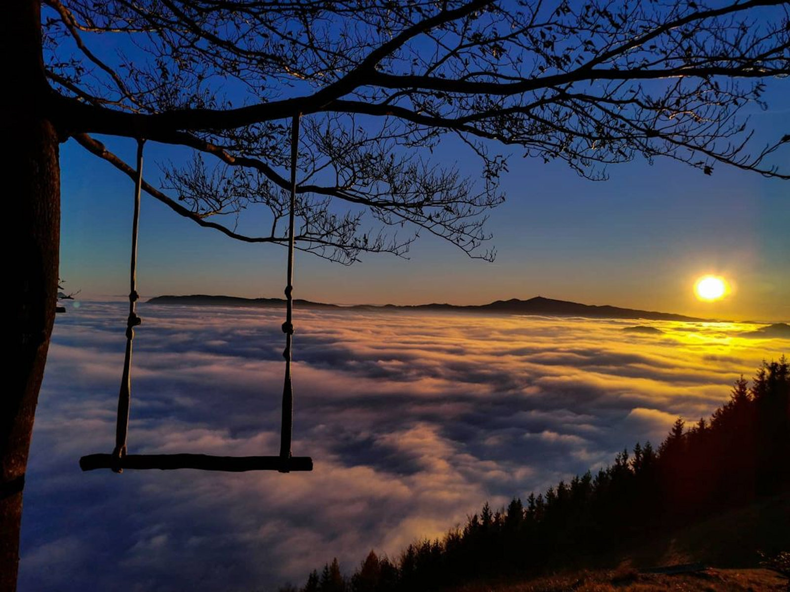 A lone swing hanging from a tree is silhouetted against a stunning sunset above a blanket of clouds, with mountain peaks in the distance.