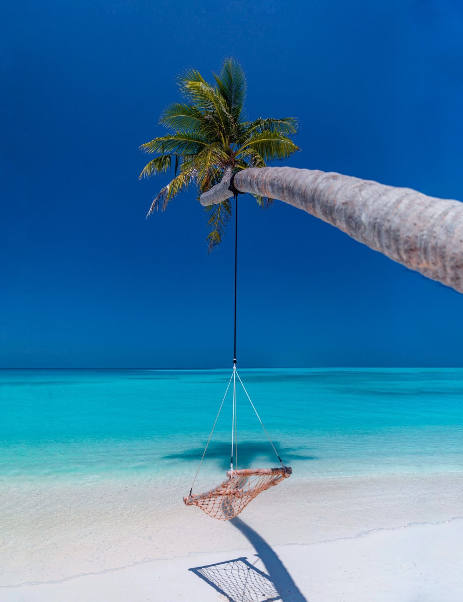 A hammock-like swing hangs from a leaning palm tree over pristine white sand and a tranquil turquoise sea, set against a clear blue sky.