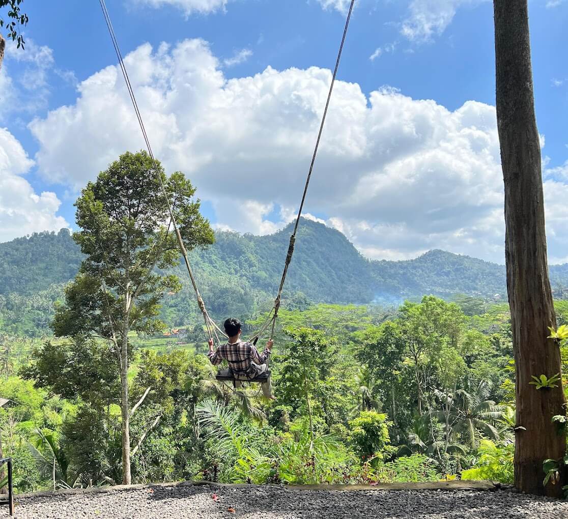 A solitary swing hangs from tall trees, offering a breathtaking view of lush green hills and tropical forest under a bright blue sky dotted with fluffy white clouds.