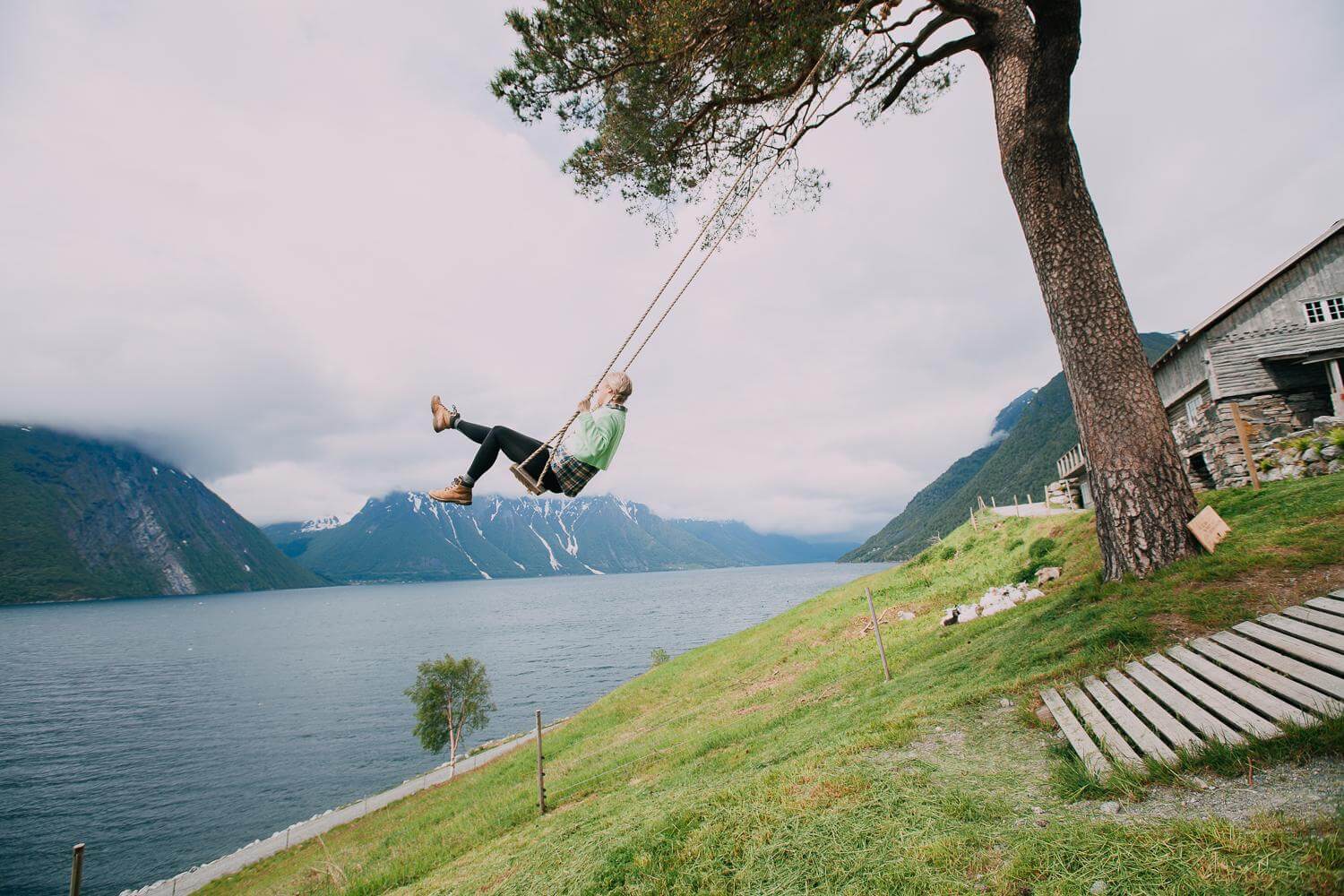 Against a backdrop of misty mountains and a tranquil fjord, a person in green swings from a lone pine tree beside a rustic cabin on a grassy slope.