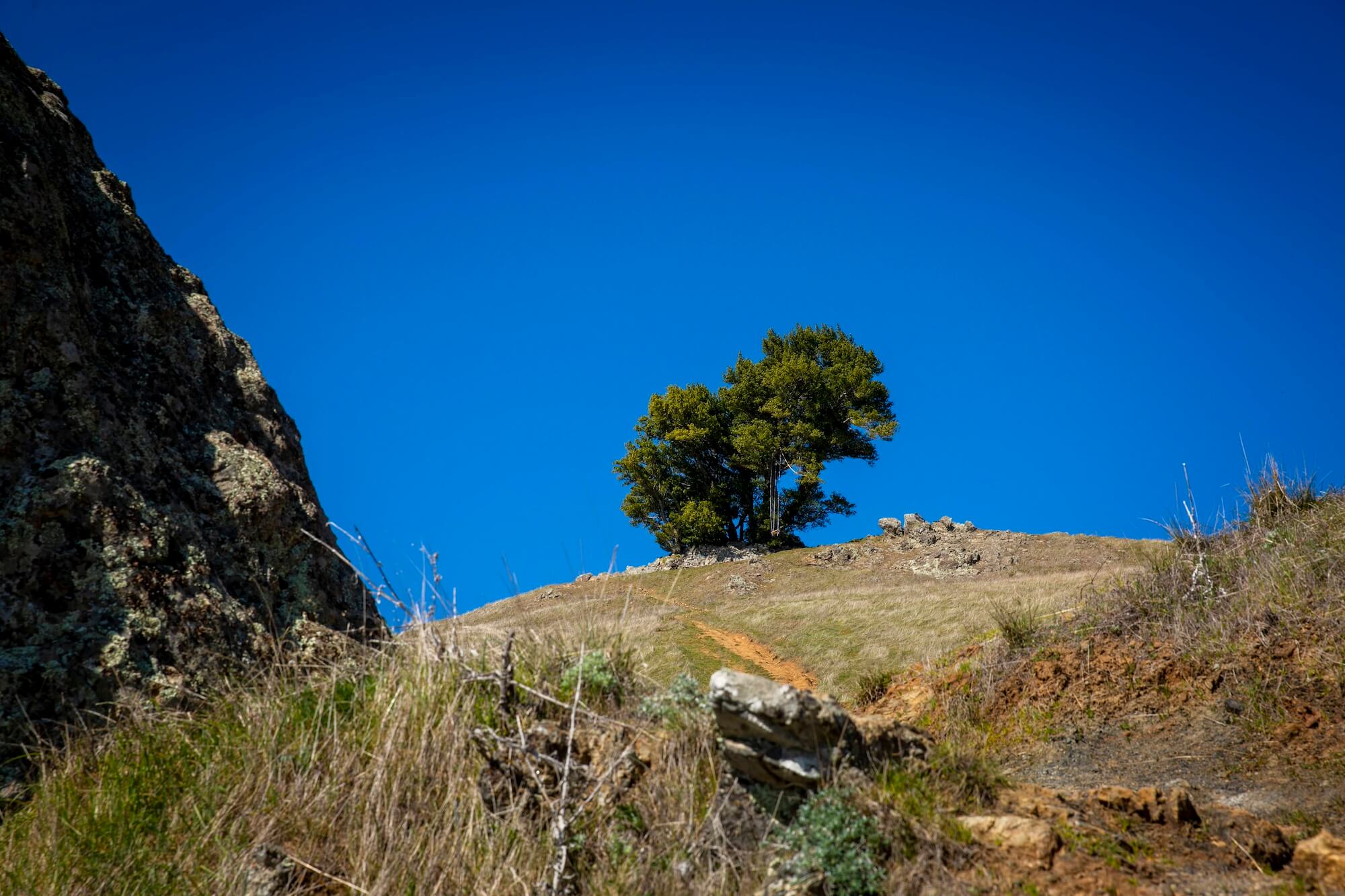 A rocky path leading up to the Trojan Point Swing, with dry grass and a cluster of trees at the top under a clear blue sky.