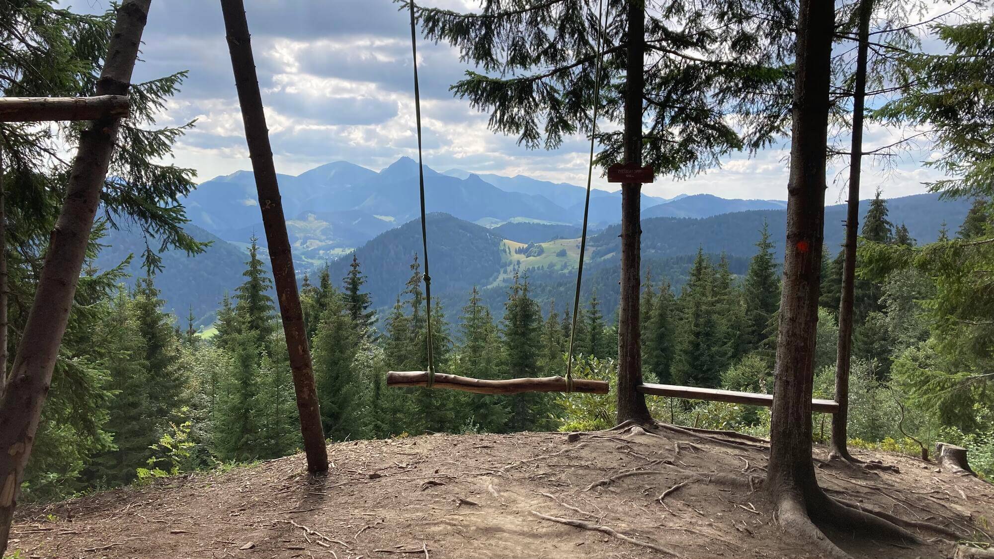 An empty wooden swing hangs between pine trees, overlooking a scenic vista of forested mountains under a cloudy sky.